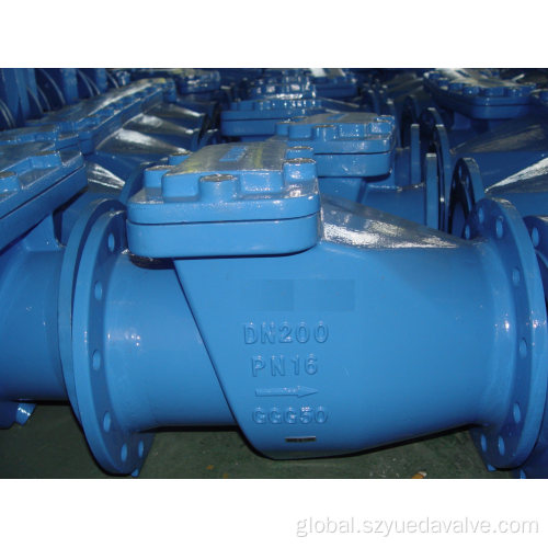 Flanged Swing Check Valve Swing Check Valve BS DIN3202-F6 Dn50-Dn300 Pn25 Manufactory